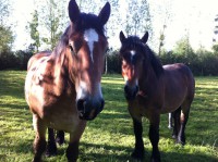 /album/journee-de-p%c3%aache-%c3%a0-la-truite-%c3%a0-l%27etang-de-la-fontaine-%c3%a0-pargny-resson/img-1374-jpg/