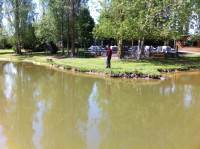 /album/journee-de-p%c3%aache-%c3%a0-la-truite-%c3%a0-l%27etang-de-la-fontaine-%c3%a0-pargny-resson/img-1384-jpg/