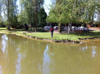 /album/journee-de-p%c3%aache-%c3%a0-la-truite-%c3%a0-l%27etang-de-la-fontaine-%c3%a0-pargny-resson/img-1386-jpg/