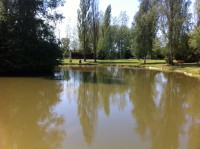 /album/journee-de-p%c3%aache-%c3%a0-la-truite-%c3%a0-l%27etang-de-la-fontaine-%c3%a0-pargny-resson/img-1387-jpg/