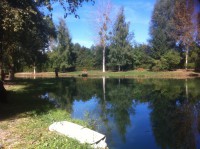 /album/les-etangs-de-la-fontaine-/img-1551-jpg/